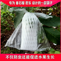 防蟲袋 水果保護袋包番石榴芭樂網套袋防蟲鳥透明袋泡沫包裝袋一體袋網袋【MJ13092】