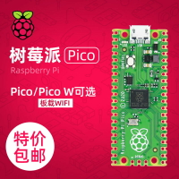樹莓派pico w開發板 Raspberry Pi雙核單片機套件 傳感器 RP2040
