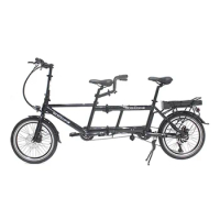 Foldable Family Ebike Electric Bicycle Hidden Battery 2 Person Pedal Tandem Ebike For Adults Electrical Bike