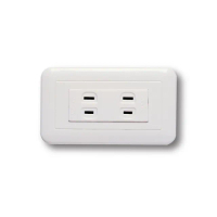 【中一電工 JYE】10入組 PANDA 熊貓系列 夜光壁切(二插座蓋板組 JY-1502W)