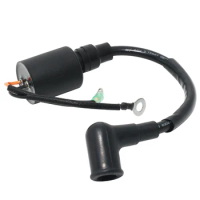 Motorcycle Parts Start Engine Ignition Coil For Yamaha 2HP 2 MSH 2HP 2B MHS 2HP 2C MHS OEM:6A1-85570-00 Motor Ignition Coil