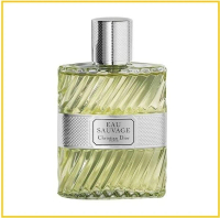 CHRISTIAN DIOR 迪奧清新之水香水 EAU SAUVAGE EAU DE TOILETTE 100ML  