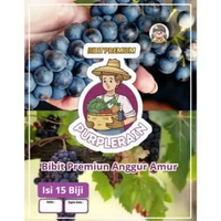 Bibit Unggul Anggur Amur | Benih Anggur Amur