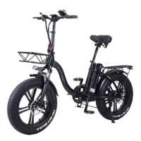 (EU Stock) One-wheel 750W 48V Electric Bicycle Adult Snow Mountain 20 inch Folding Fat Tire Electric Bike ebike