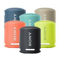 SONY SRS-XB13 重低音防水可攜式藍芽喇叭【最高點數22%點數回饋】