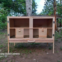 Kandang Burung Merpati Dara 2 Pintu Minimalis Bahan Kayu