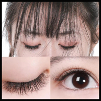 Bulu Mata Magic No Glue Eyelash / Liddy Eyelash Fake Eyelashes Korean Eyelash