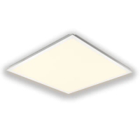 【太星電工】寶島之光/LED 45W 輕鋼架平板燈(黃光Y645L)
