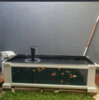 Kolam /Aquarium Ikan fibergelass Kombinasi kaca + Filter