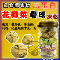 ✪四寶的店✪PV 魔法村 小動物 花椰菜 高蛋白蟲球凍乾 35g/包 倉鼠/黃金鼠/蜜袋鼯/刺蝟/爬蟲/鳥零食