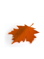 AUTUMN DOOR STOPPER OR