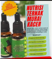 Super breeding murai kacer nutrisi ternak burung dongkrak birahi penjodohan