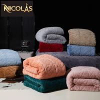 Cực phẩm chăn hồ ly, chăn kèm túi xách sang trọng. Cân nặng 5 kg , kích thước 2mx2m3 nicolas chăn l