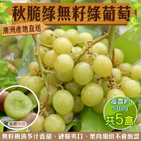 【天天果園】澳洲秋脆綠無籽綠葡萄5盒(每盒約500g)