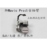 DJI大疆御MAVIC PRO云臺軸臂帶排線御相機軸臂云臺維修原廠配件[DD0505005]