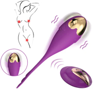 Panties Wireless Remote Control Vibrator Vibrating Eggs Wearable Vagina Exercise Ball G Spot Clitoris Massager Sex Toy for Women