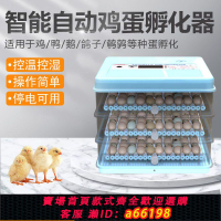 【台灣公司 可開發票】孵化器小雞孵蛋器孵化機全自動小型家用型智能孵蛋機孵小雞的機器