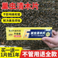 【滿299元出貨】買一送一中蜂專用棉蟲巢蟲清木片蜜蜂工具養蜂蜂箱全套巢清10片裝