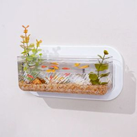 創意牆麵花瓶驚艷登場 塑膠材質輕盈耐用 辦公室客廳皆適配 迷你壁掛超省空間 還能變身懸掛式魚缸 趣味十足 水耕植物花盆二合一 綠植小魚共養 打造獨特生態小景 為家居辦公增添自然靈動氣息