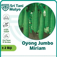 2 Biji - Benih Oyong Jumbo Unggulan miriam