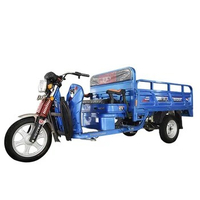 2022 Hot Selling Trike for Cargo Delivery Cargo Used Electric Motor Tricycle Adult Tricycle for Adult Use