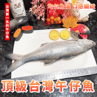 【天天來海鮮】大海午仔魚(黑翅)550/600克