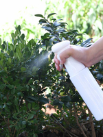 日本高壓力霧狀噴壺澆花專用園藝植物澆水神器家用小型噴水噴霧器