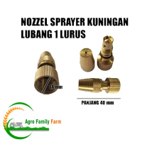 NOZEL / NOZZLE / SPUYER SPRAYER ELEKTRIK KUNINGAN 1 LUBANG LURUS