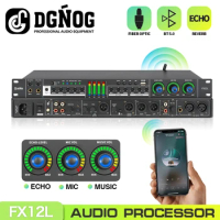 DGNOG Karaoke Digital Audio Effect Processor Bluetooth Professional Microphone Sound Echo Processor Effect System for Home Party