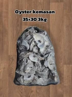 oyster shell kulit kerang cangkang tiram media filter kolam ikan koi