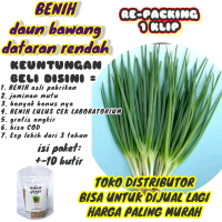 BENIH DAUN BAWANG DATARAN RENDAH FRAGRAN