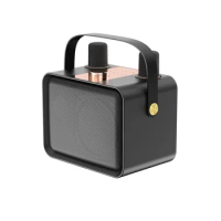 Home Theater Mini Amplifier Speaker Subwoofer Karaoke Bluetooth Wireless Portable Speaker With Two Microphones For Family KTV