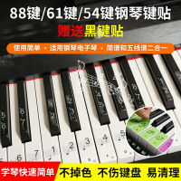 鍵琴貼 音符鍵位貼 鋼琴鍵貼紙鍵貼8861電子琴鍵盤貼手卷五線譜簡譜按鍵音標音符鍵位『cyd12636』