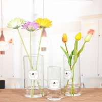 高硼硅直筒花瓶簡約透明玻璃花瓶鮮花水培綠植家居裝飾玻璃瓶擺件