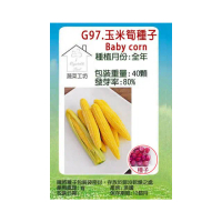 【蔬菜工坊】G97.玉米筍種子