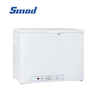 Smad 12V/110V Propane Freezer Refrigerator with Lock 200L for Car Ship Mini Fridge Freezer Portable Compressor Cooler Gas