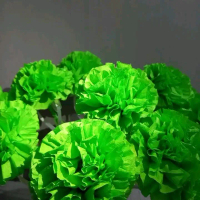 Tempat Telur Bunga bentuk Hydrangea Matahari Mawar Untuk pesta pernikahan,  aqiqah,  ataupun hajatan