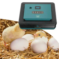 Egg Incubator Household with Light Chick Incubator Farm Incubator Small Egg Hatcher Machine for Birds Quail Chicken Duck 25 Eggs