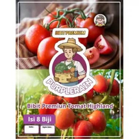 Bibit Premium Tomato Highland |Benih Tomat Higland|Bibit Tomat Higland