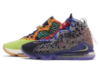 LEBRON 17 WHAT THE