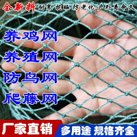 池沐養殖網養雞網尼龍網攔雞圍雞網家禽塑料網護欄菜園圍網防護網