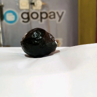 Muncang Adu jenis MJ Ori paponan, tenaga bagus, batok tebal. (atahan)