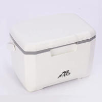 6L Portable Cool Box Mini Refrigerator for Camping - Large Capacity Insulated Freezer