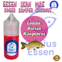 Essen Ikan Mas Doger kamper Essen Ikan Mas Essen Ikan Mas Paling Ampuh Essen Ikan Mas Galatama Essen
