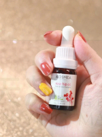 優惠 Kosmea Rose Hip Oil 澳洲 澳詩美 玫瑰果精華油 熬夜小金油祛痘印保濕維穩精華液 以油養膚 天然有機認證級別玫瑰果油 20ml