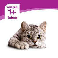 Whiskas Makanan Kucing Kering 7 kg