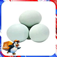 Telur Bebek Mentah Lokal Kalimantan | Fresh & Berkualitas