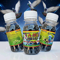 JAMU MERPATI JUARA GIRING KERAS ISI 300 PIL JAWARA cepat giring Keket keras ginseng teki pil edan he