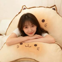 內地直送 - 床頭靠背軟包大靠墊床上看書靠墊護腰靠枕抱枕可拆洗學生宿舍枕