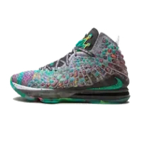 LEBRON 17 PROMISE